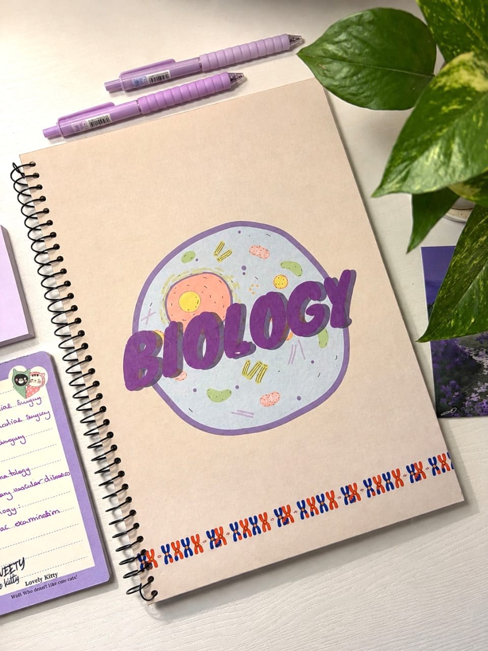 (200PAPER) BIIIG BIOLOGY — صورة 2
