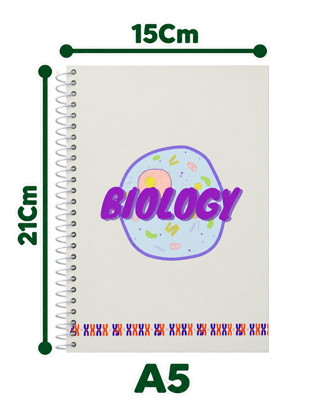 (200paper) small biology